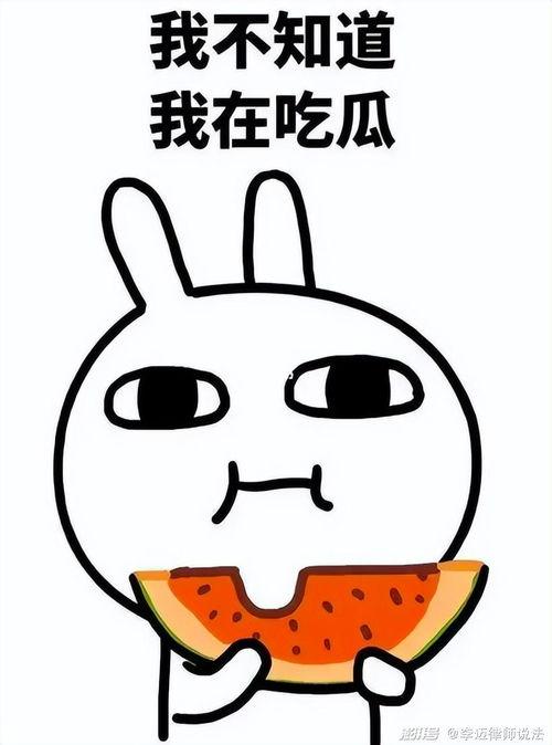 娱乐吃瓜八卦的网名大全,网名大全中的吃瓜八卦风云录